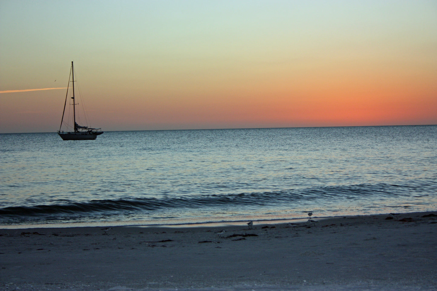 Sailboats & Sandpipers