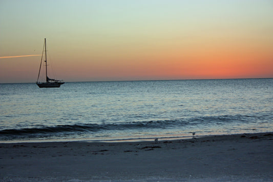 Sailboats & Sandpipers